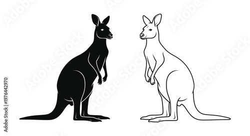 Kangaroo Species Comparison Guide Vector