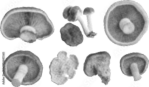 Retro grunge mushroom collection with punky dot texture for graphic design. Vector png collage isolated on transparent