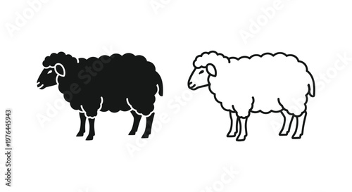 Black and White Sheep Breeds Comparison Guide Vector