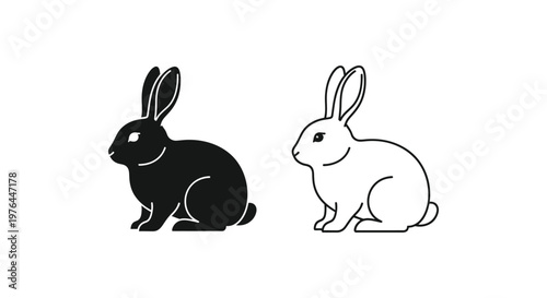 Yin Yang Rabbits Symbolic Design Vector