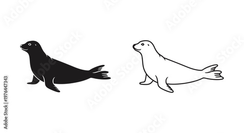 Sea Animals Seal vs Sea Lion Comparison Guide Vector