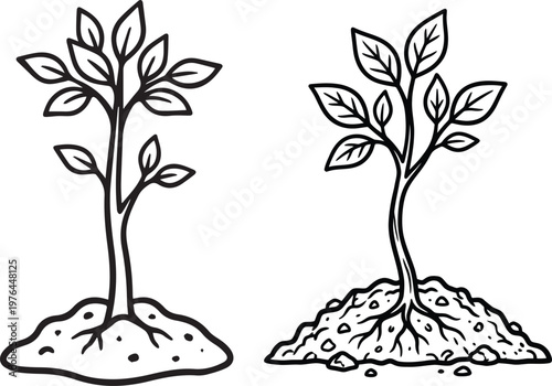 Kids coloring worksheet set of hand drawn saplings with roots vector isolated on white background