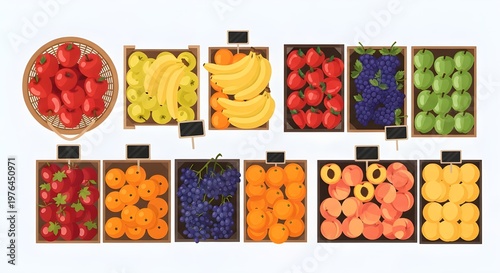 vibrant floral seamless patterns collection with bright colors and geometric designs for textiles and backgrounds