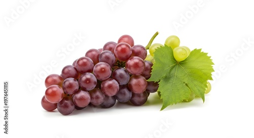Fresh purple concord grapes with green leaf on white background, natural food photography