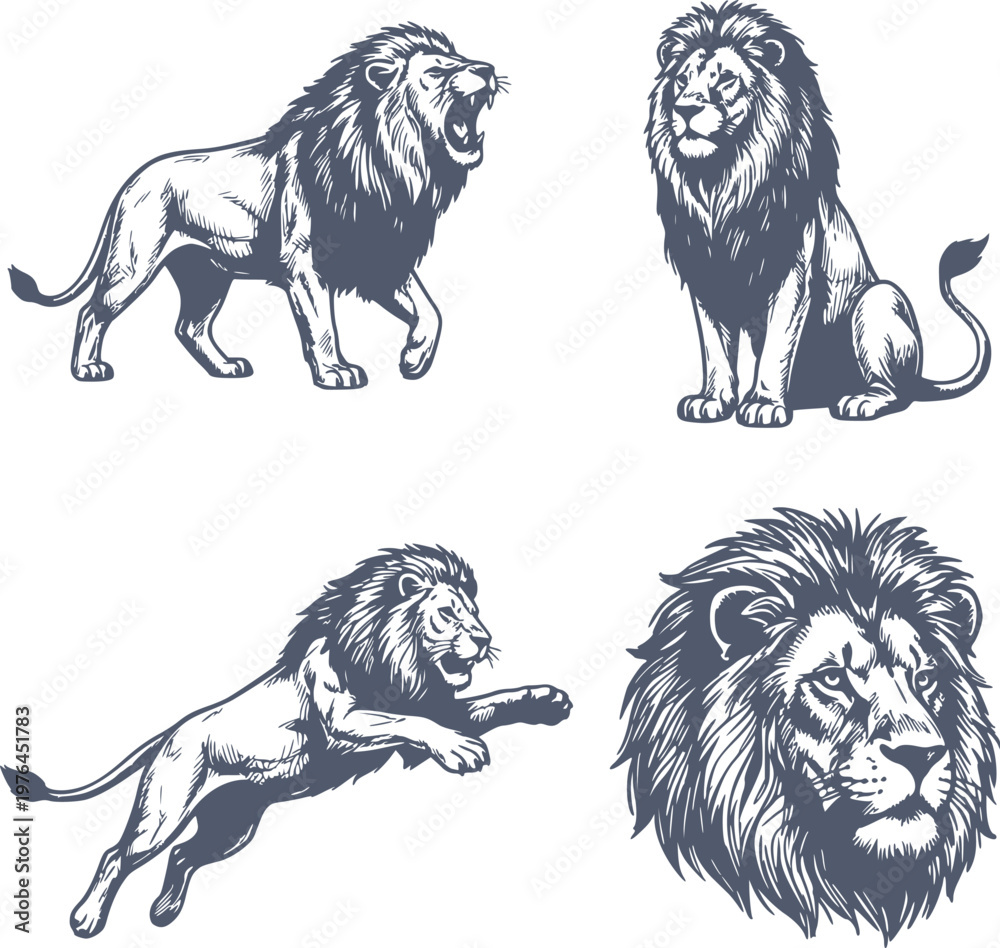 Fototapeta premium professional set of lion illustrations including roaring jumping and sitting poses in navy blue hand drawn style with no white fills