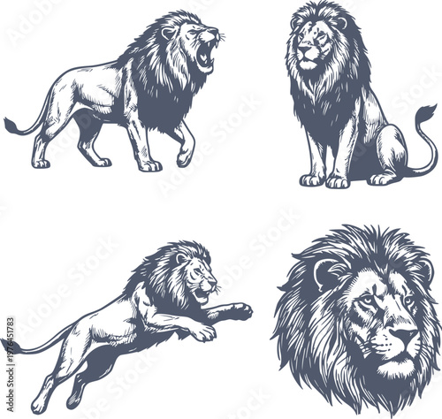 professional set of lion illustrations including roaring jumping and sitting poses in navy blue hand drawn style with no white fills