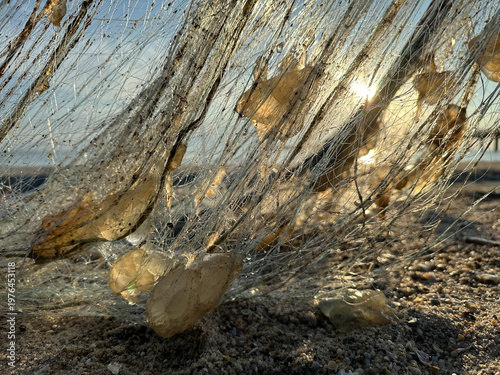 Golden sunlight filtering through thin, tangled fishing nets.