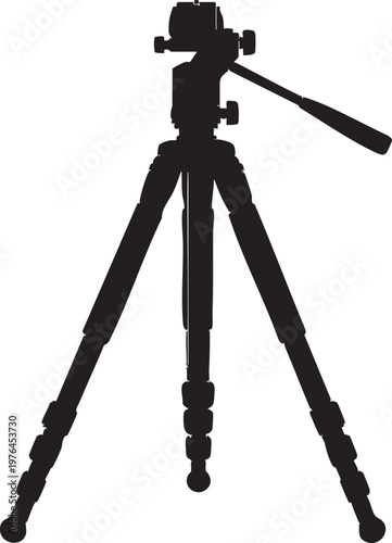 Black silhouette of a playful sea lion balancing a ball on its nose with silhouette balancing wildlife