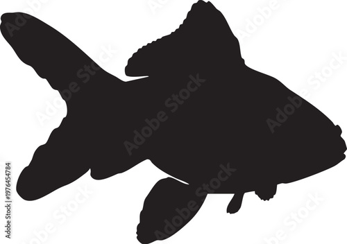 Anatomical human eye cross section vector illustration with ophthalmology clinical physiology internal