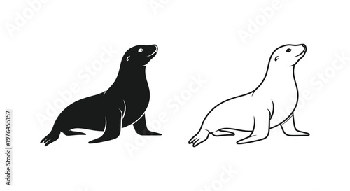 Sea Lion vs Sealion Comparison Guide Vector