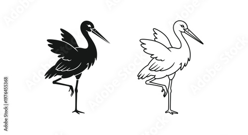 BlackAndWhiteWadingBirdsComparisonGuide Vector