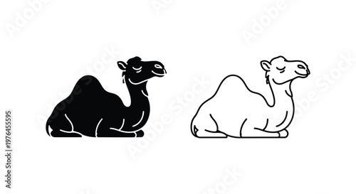 Camel Types Illustrated Bactrian vs Dromedary Vector