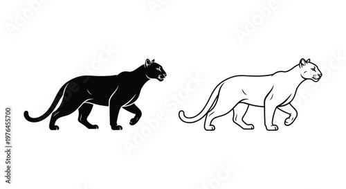 Black Panther vs Leopard Feline Comparison Guide Vector