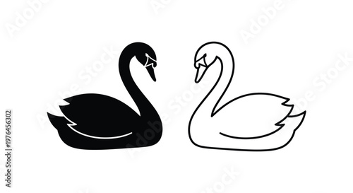 Black and White Swan Pair Art Design Vector