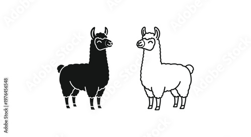 Llamas vs Alpacas Key Differences Explained Vector