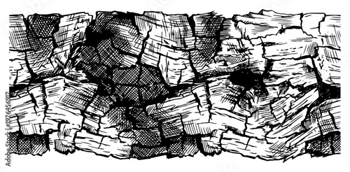 Tree bark texture with deep cracks and organic patterns in vintage engraving style