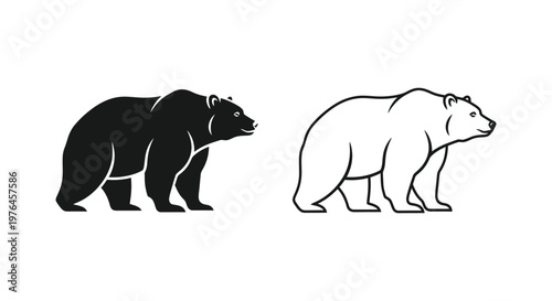 Black Bear vs Polar Bear Key Differences Illustrated Vector