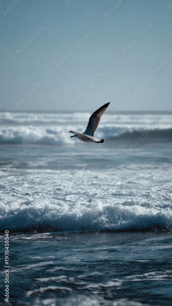 Fototapeta premium Seagull Soaring Over Ocean Waves