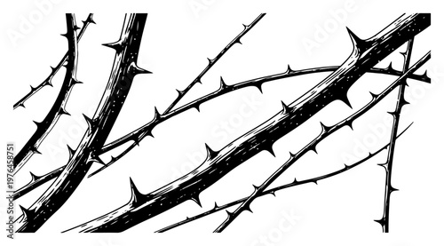 Thorny branches and brambles growing diagonally in vintage line art style