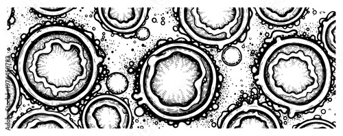 Microscopic cell structures or abstract circular organic patterns vintage engraving style