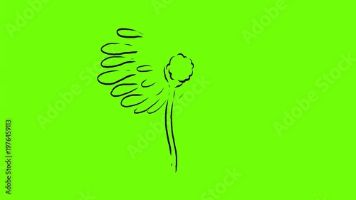 2d Animation cartoon of a daisy flower with petals being blown blowing in the wind on white, black and green screen in 4k ultra-high-definition.