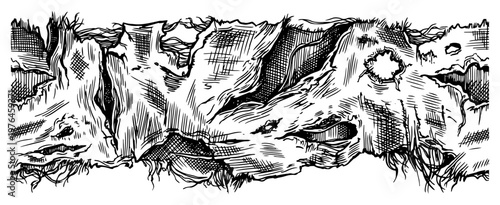 Rough tree bark texture with organic details in weathered engraving style