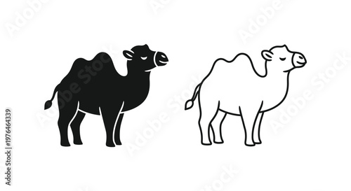Camel Types Dromedary vs Bactrian Illustrated Vector