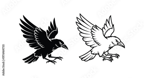Elegant Raven Wings Symbolic Art Design Vector