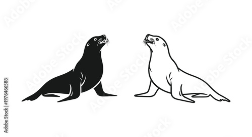 Sea Lion vs Sealion Comparison Guide Vector
