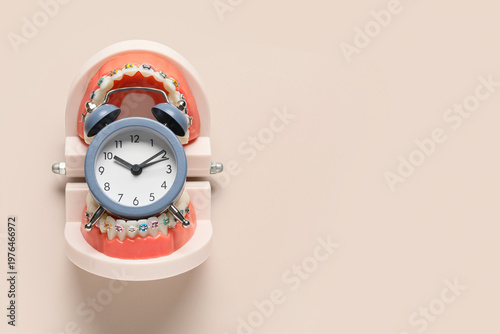 Alarm clock and jaw model w...