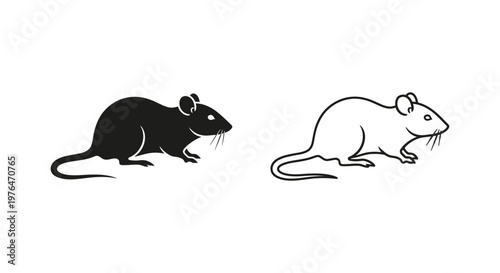 Black and White Rat Illustrations for Design Vector