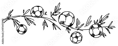 Soccer balls growing on leafy branch vine in hand drawn sketch style