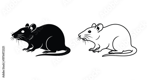 Black vs White Rat Comparison Guide Vector