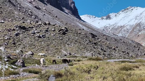 Andes mountain range and volcano valley in Santiago Chile