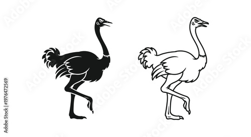 Ostrich Bird Silhouette Designs for Art and Illustration Vector