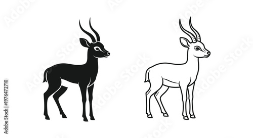 Antelope Species Comparison Guide Vector