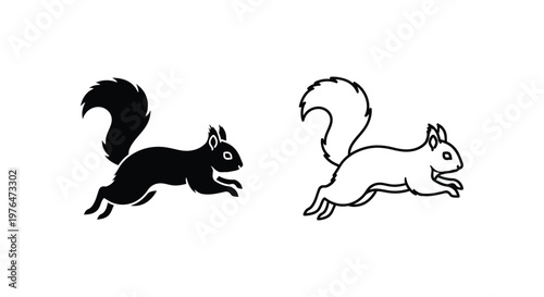 Black and White Squirrel Vector Designs Vector
