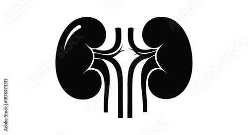 A simple black silhouette depicts a pair of human kidneys with connected ureters