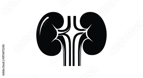 A simplified black silhouette depicts a pair of human kidneys showcasing their anatomical form