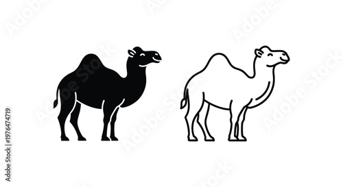 Camel Types Dromedary vs Bactrian Visual Guide Vector