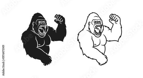 Gorillas Fists Clash Cartoon Illustration Vector