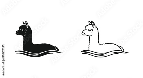 Alpaca Wool Luxury Camelid Fibers Design Vector