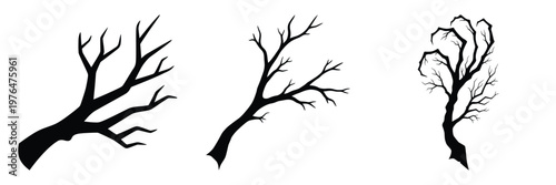 creepy branch silhouette set vector illustration