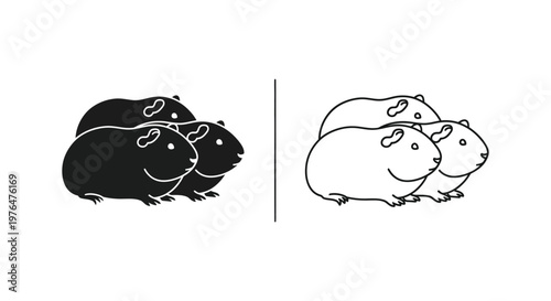 Guinea Pig Breed Comparison Guide Vector