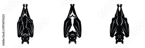 hanging bat silhouette set vector illustration