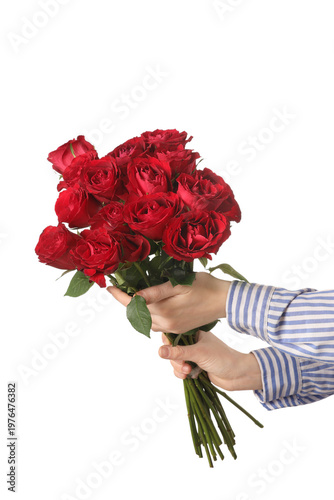 Female hands with bouquet of beautiful red rose flowers on white background
