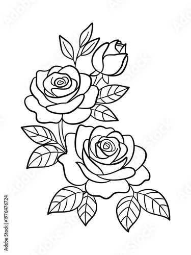 Bukiet rozkwitłych róż z pąkiem i liśćmi. element dekoracyjny do zaproszeń ślubnych, kartek walentynkowych, projektów tatuażu, wydruków i wzorów tekstylnych.