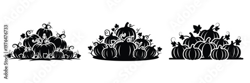 pumpkin patch silhouette set vector illustration