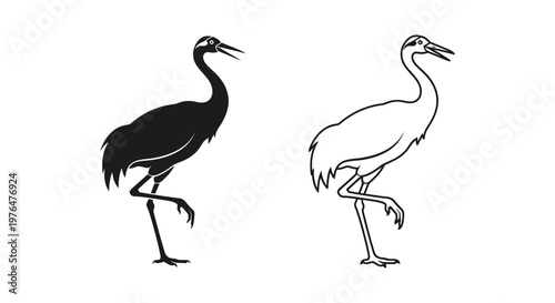 Black and White Crane Bird Silhouette Designs Vector