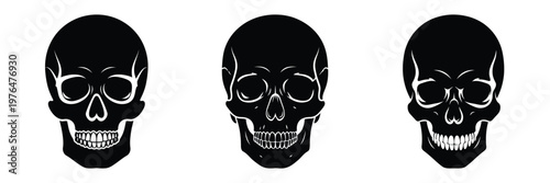 skull silhouette set vector illustration